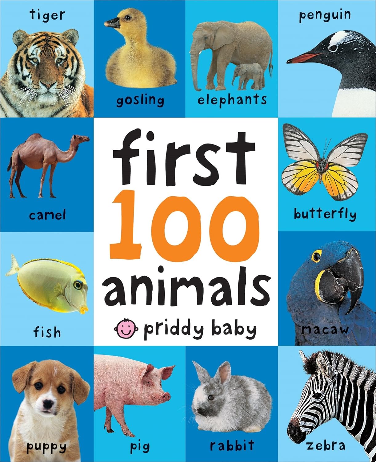Baby’s First 100 Animals