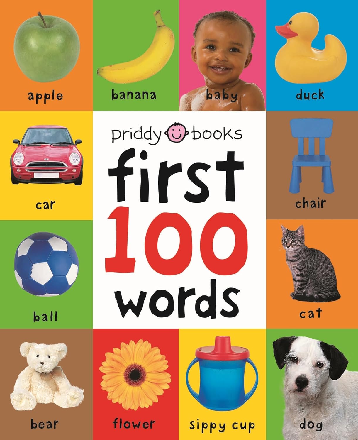 Baby’s First 100 Words