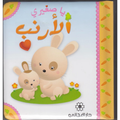 الأرنب