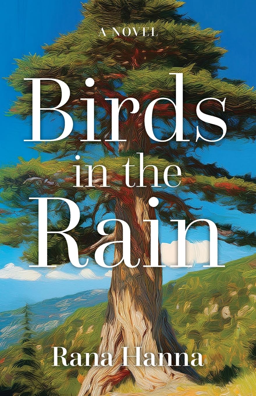 Birds in the Rain by Rana Hanna (Paperback)