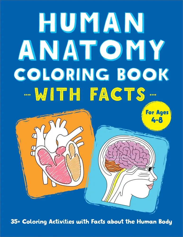 Human Anatomy Coloring Book With Facts