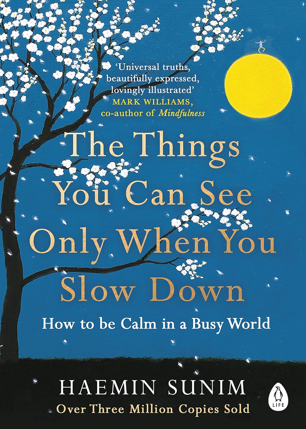 The Things You Can See Only When You Slow Down by Haemin Sunim (Paperback)