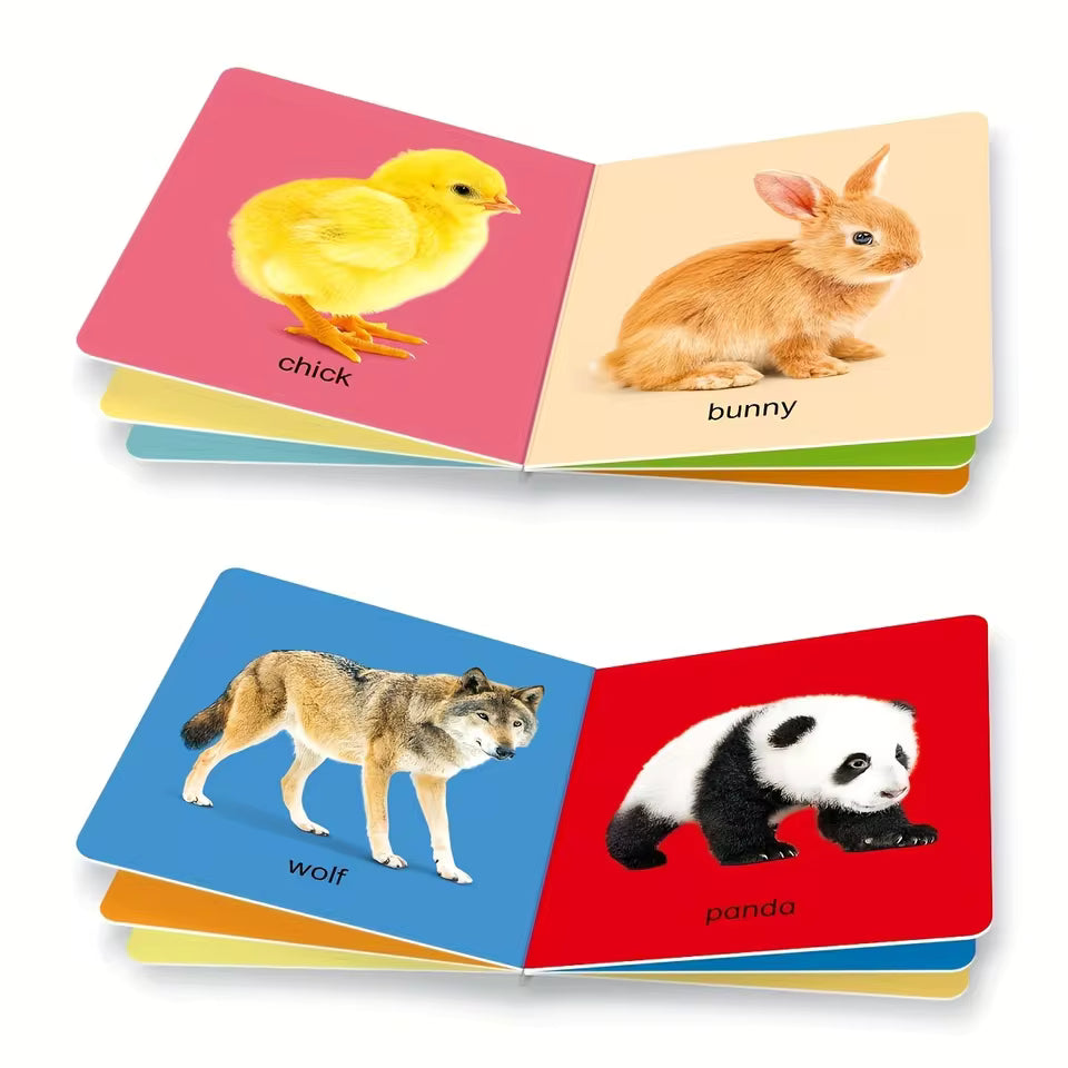 Baby Look & Learn 10 Mini Book Set - My First Learning Library