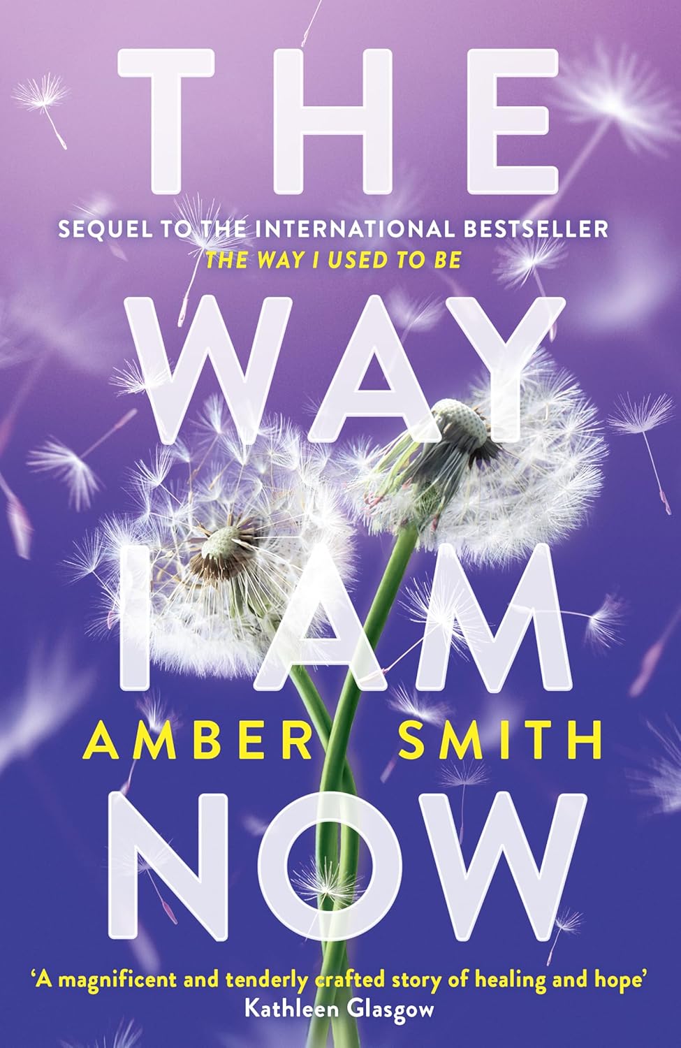 The Way I Am Now by Amber Smith (Paperback)