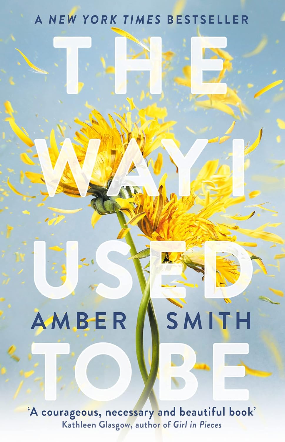The Way I Used To Be by Amber Smith (Paperback)