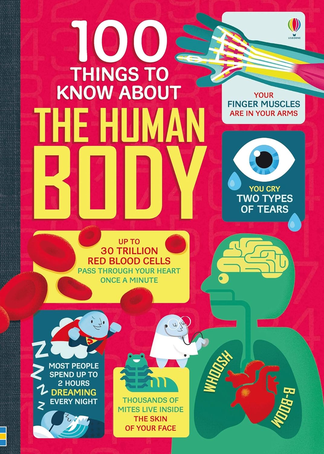 Usborne 100 Things to Know About - The Human Body